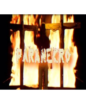 PARANECRO Steam Key GLOBAL